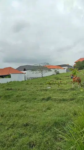 Disewakan Tanah di Sempol Pererenan