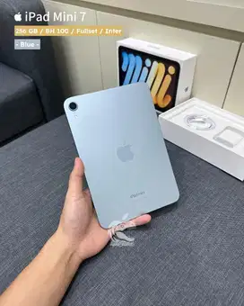 iPad Mini 7 256 Gb Wifi Only
