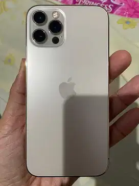 Iphone 12pro ex ibox