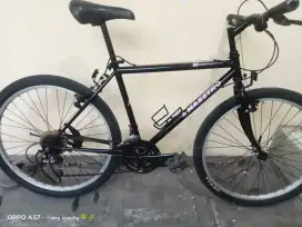 sepeda commuter bike maestro altera