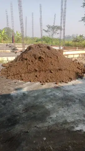 Limestone / Pedel / Batu Kapur