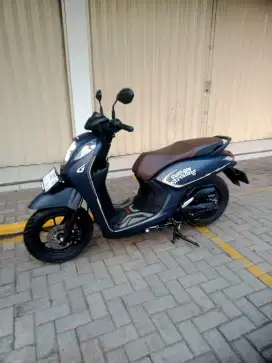 Honda Genio Fabulous Strolling 2025
