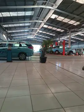 Driver Tak51 BLue B1rd