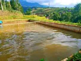 JUAL KOLAM IKAN AKSES MOTOR DI BANJARAN