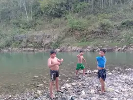 Batu Hiasan akuarium Atau batu Akik