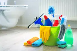 Cleaning service