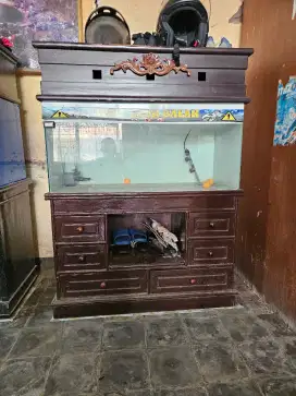Aquarium Ikan Arwana 100 x 45 x 40 cm
