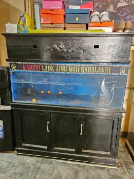 Aquarium Ikan Arwana 120 x 45 x 40 cm