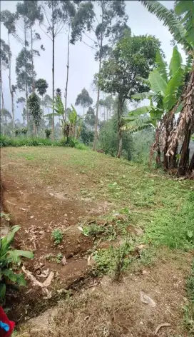 Dijual 2 tanah kavling