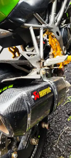 Ninja 250SL Naked