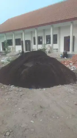 Pasir Campur / Pasir Biasa / Pasir Pasang