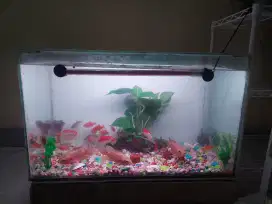 Aquarium 60×30×36