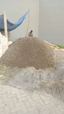 Koral / Tensla Segala Ukuran