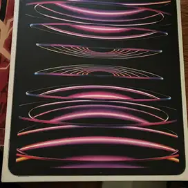 IPAD PRO 12,9” gen 6, 256GB , Wifi Only + apple pencil gen 2