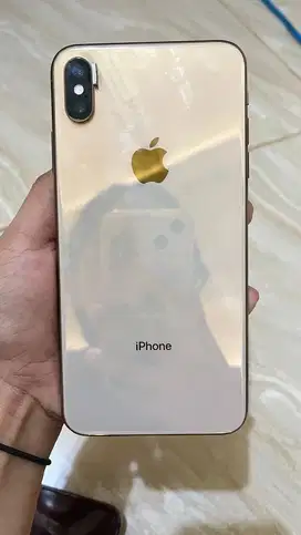 IPHONE XS MAX 256 GB