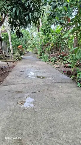 JUAL TANAH DI SOGAN WATES KULONPROGO
