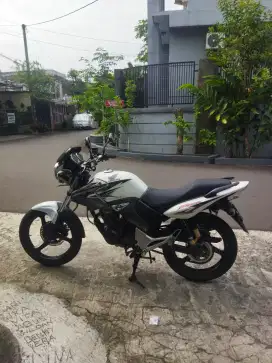 Tiger 2012 Putih