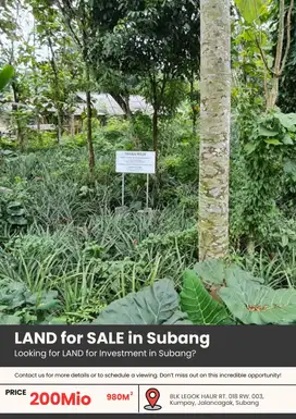Dijual Tanah Subang