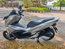 Honda PCX Tahun 2019 Silver