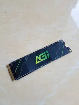 SSD Nvme AGI 512gb pcie gen4 x4 sehat