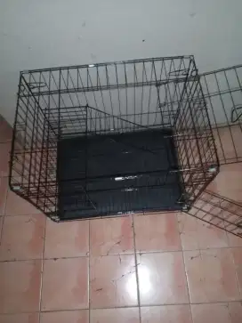 Kandang kucing baru