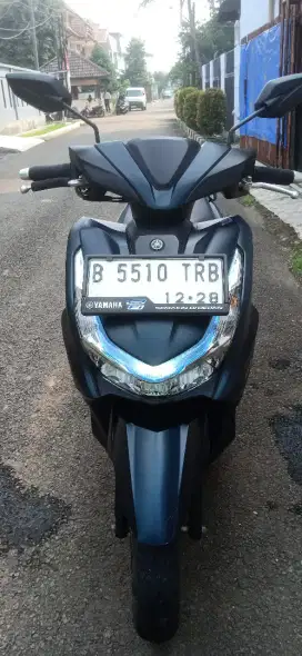WTS Yamaha Freego S 2023