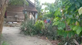 Dijual Tanah 20x50m2 di Bambu Kuning