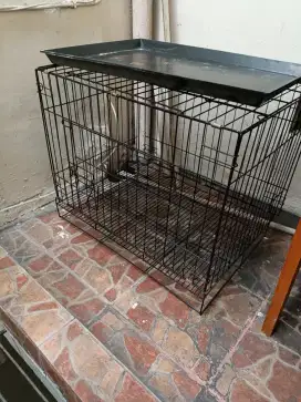Kandang kucing peliharaan