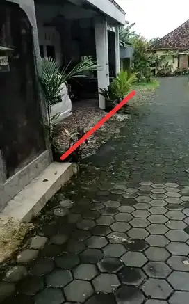 Rumah murah di Jombor dkt Kampus UTY,JCM, RSUP SARDJITO, UGM, RSIA UGM