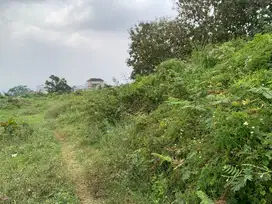 Tanah Kavling Murah Landungsari Dekat Pondok Thursina, Harga Murah