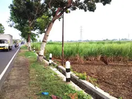 Tanah Sawah 0 Jalan Raya Jombang Pare Murah