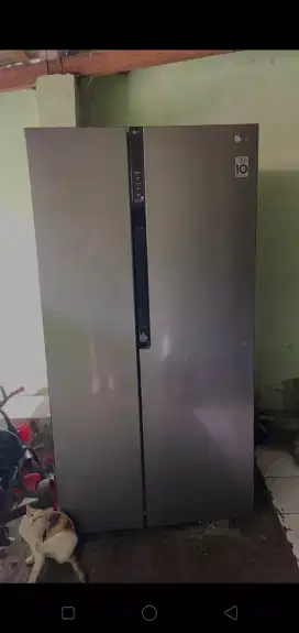 Kulkas merk LG 2 pintu