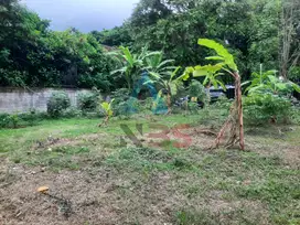 Dijual Tanah Komersil  Lokasi jalan Raya Puputan  Renon