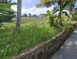 Dijual tanah luasan kecil dekat wisata pantai di selemadeg