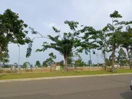 Disewakan Tanah Kavling PIK 2 ukuran 1950m2 Jakarta Utara