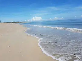 TANAH SUMBA NUSA TENGGARA TIMUR