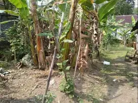 Tanah Dijual Area Perkampungan Dekat Dengan Kampung Jawi