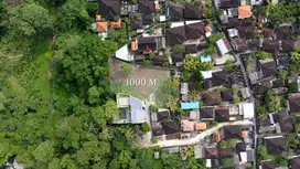 Attractive 10 Are Land with Jungle View in Peaceful Cepaka