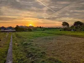 DIJUAL TANAH DI UMA ALAS , DIJUAL TANAH DI CANGGU AREA KUTA UTARA