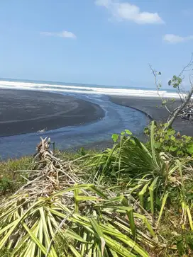 Tanah Raya Denpasar Gilimanuk tabanan