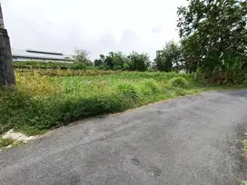 Tanah Sleman  Dekat Monumen Jogja Kembali hanya 3jutaan