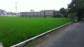 Tanah Murah Margahayu Metro Cocok Untuk Cluster