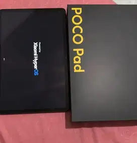 Poco Pad 8/256 Gb Mulus