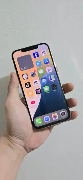 IPhone 12 Pro Max 512gb Wifi Only