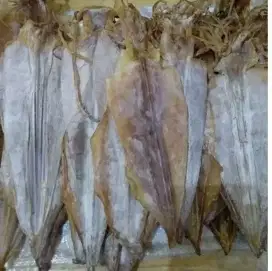 Cumi kering tawar uk besar