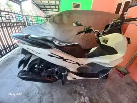 HONDA PCX PUTIH TERAWAT