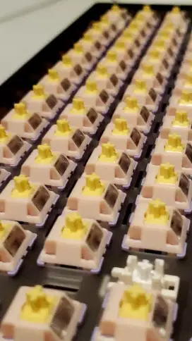 Switch MMD Princess Tactile V4 60pcs Cocok untuk Keyboard Layout 60%