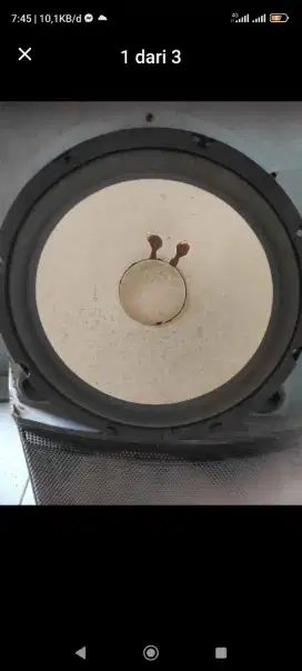 Sepasang speaker 10inc