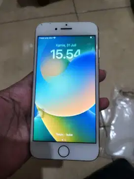 iphone 8 inter sinyal permanen