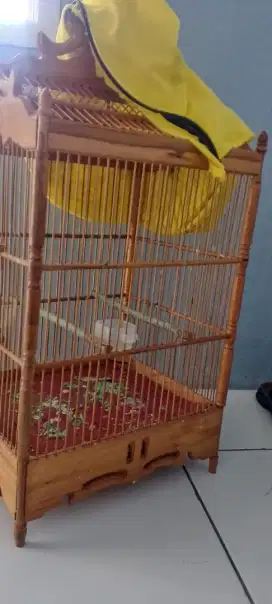 Kandang burung yang love bird baru belum pernah pakai